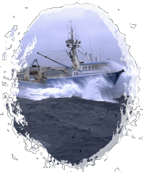 TrawlerRoughSeastrs.gif